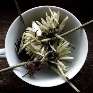 Meet your Posher, Kristin